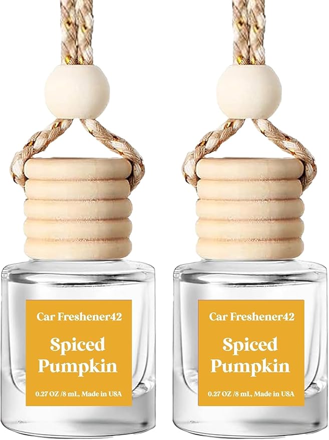 Spiced Pumpkin Car Air Freshener | HoogaLife