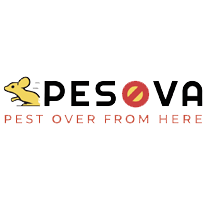 Pesova