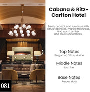 Cabana & Ritz-Carlton Car Air Freshener | HoogaLife