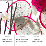 Jasmine Dragonfruit Car Air Freshener | HoogaLife